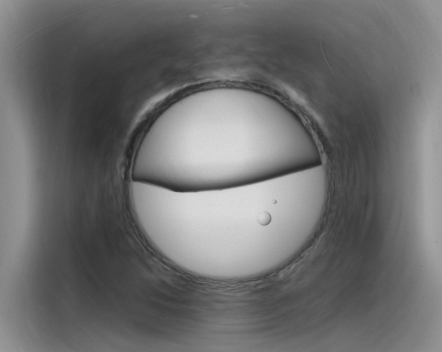 X0000115841214200911131059