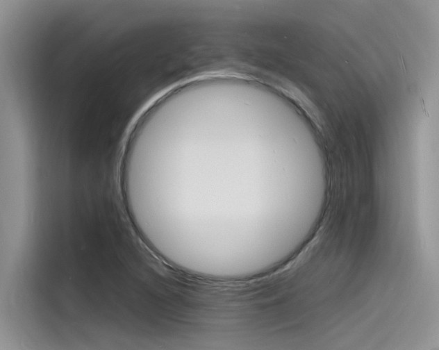 X0000115841216200911131059