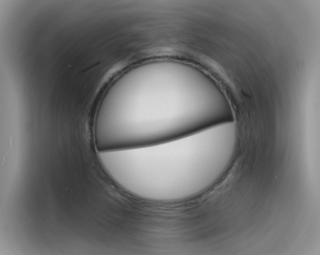X0000115841218200911131059