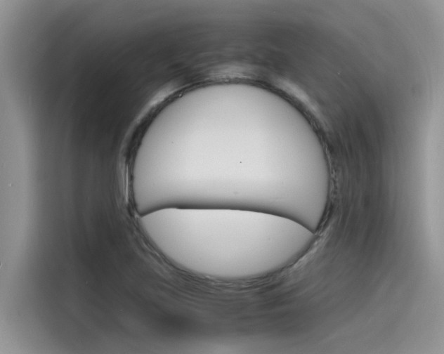 X0000115841219200911131059