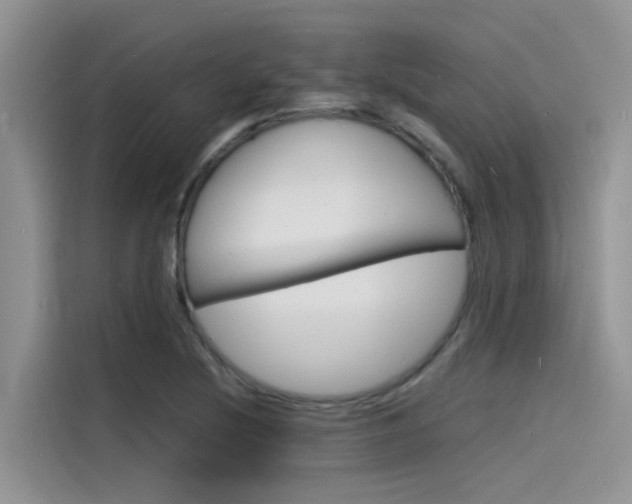X0000115841220200911131059