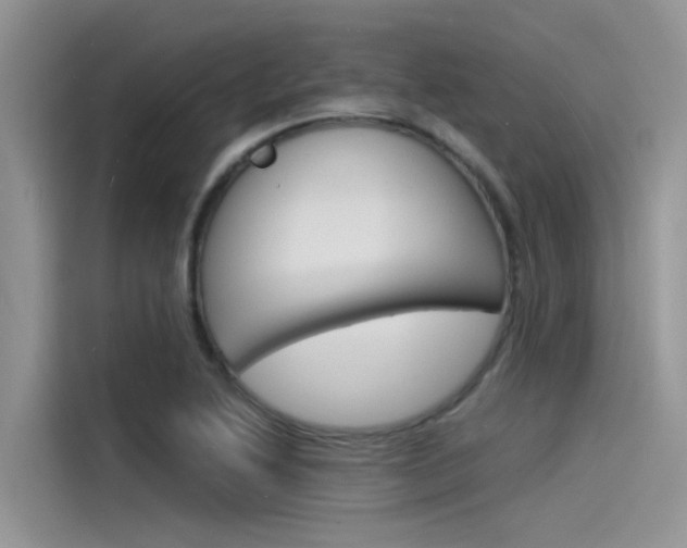 X0000115841222200911131059
