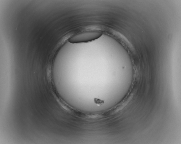X0000115841225200911131100