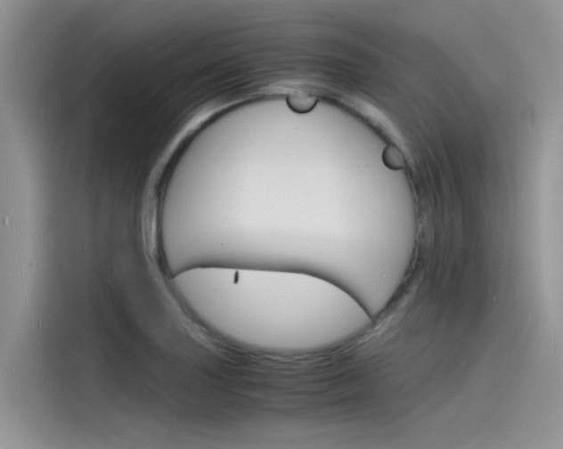X0000115841227200911131100