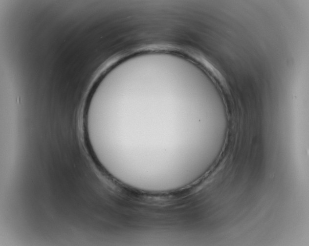 X0000115841229200911131100