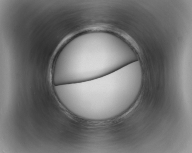 X0000115841232200911131100