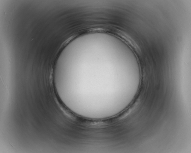 X0000115841233200911131100