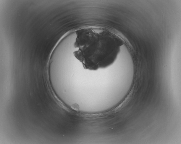 X0000115841236200911131100