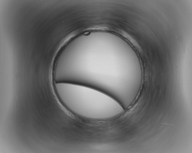 X0000115841237200911131100