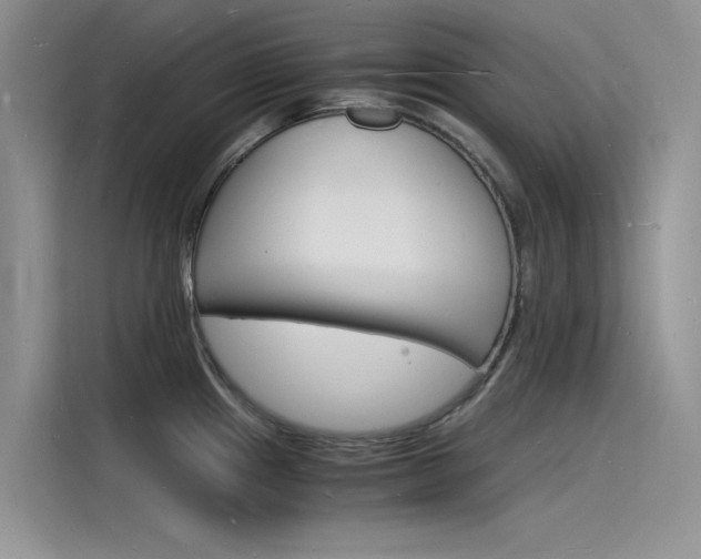 X0000115841241200911131100