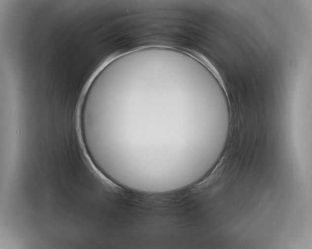 X0000115841243200911131100