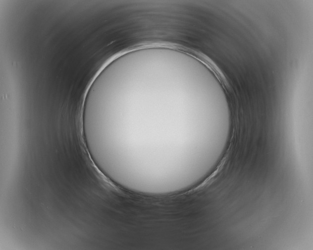 X0000115841244200911131100
