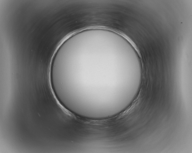 X0000115841245200911131100