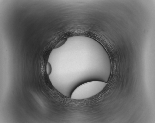 X0000115841250200911131059