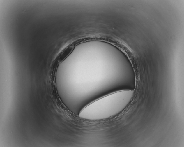 X0000115841256200911131059