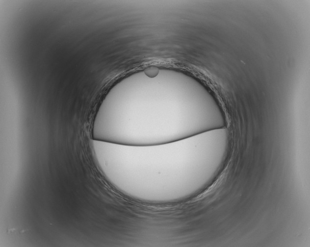 X0000115841257200911131059
