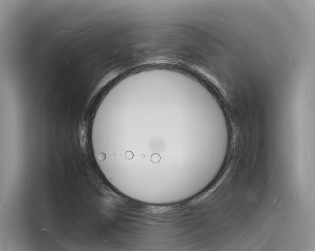 X0000115841258200911131059