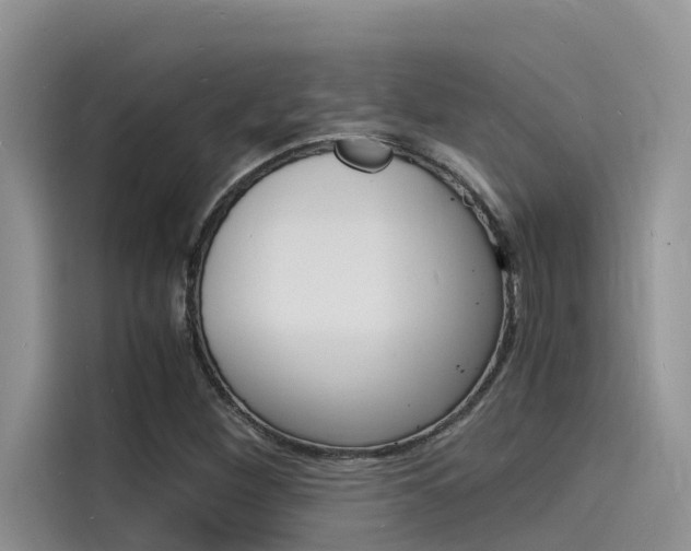 X0000115841260200911131059