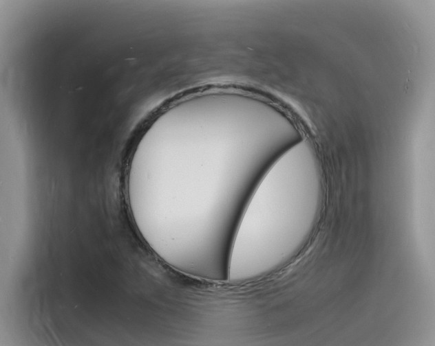 X0000115841263200911131059