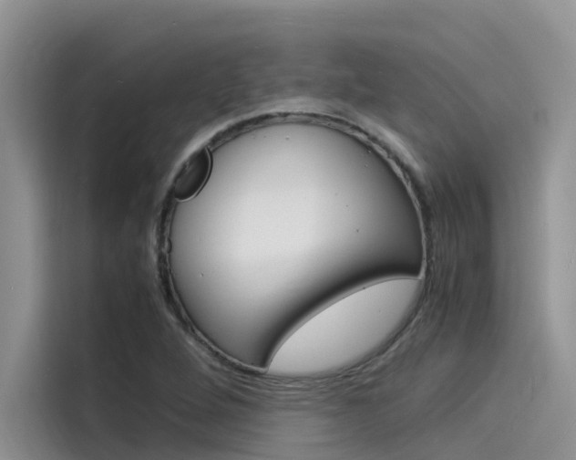X0000115841264200911131059