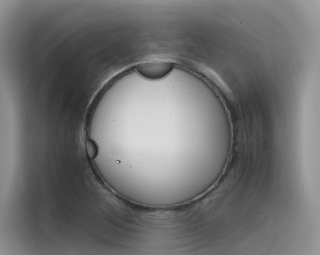 X0000115841268200911131059