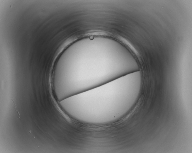 X0000115841282200911131059