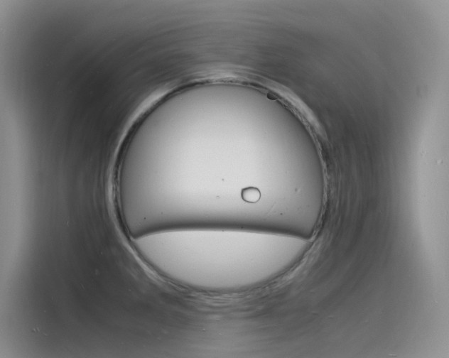 X0000115841285200911131059