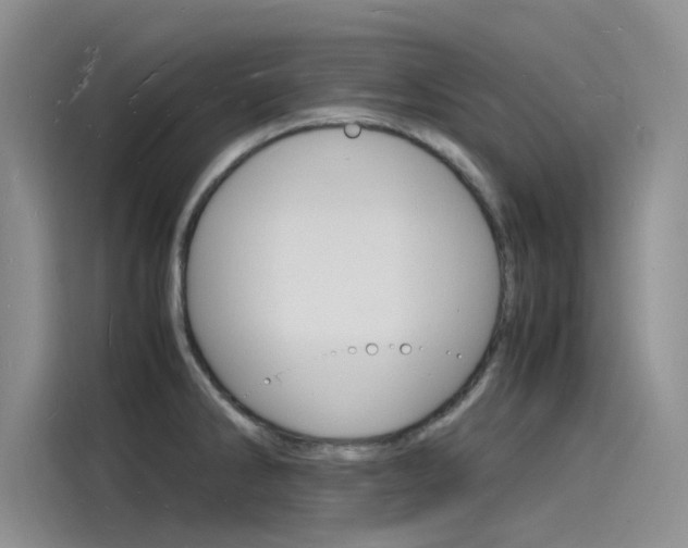 X0000115841286200911131059