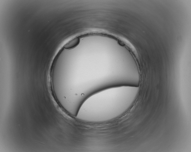 X0000115841287200911131059