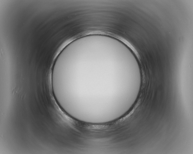 X0000115841290200911131059