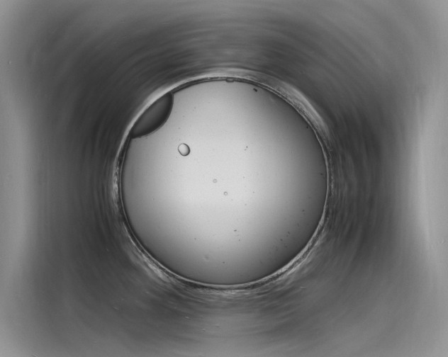 X0000115841292200911131059