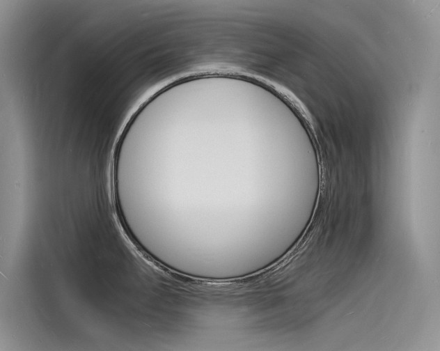 X0000115841295200911131059