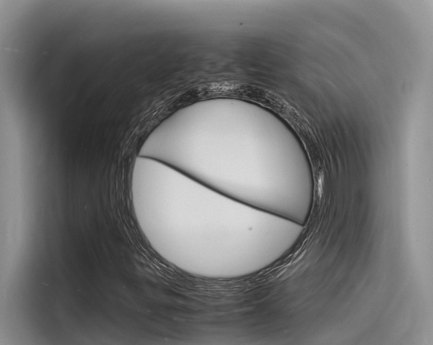 X0000115841299200911131058
