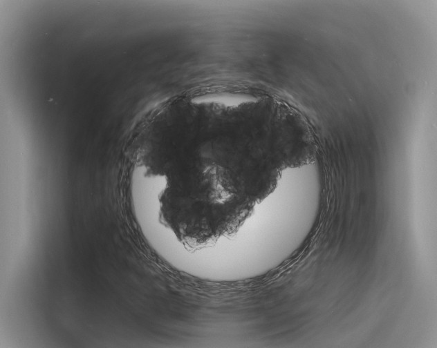 X0000115841302200911131058