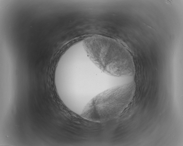 X0000115841303200911131058