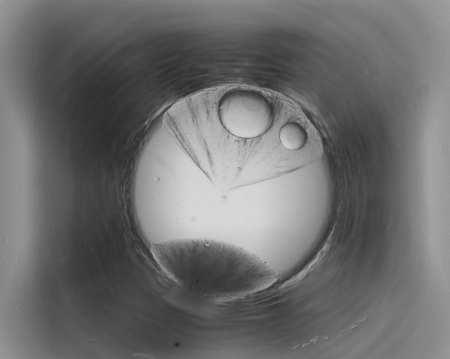 X0000115841305200911131058