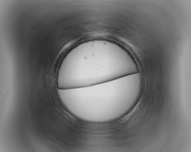 X0000115841306200911131058