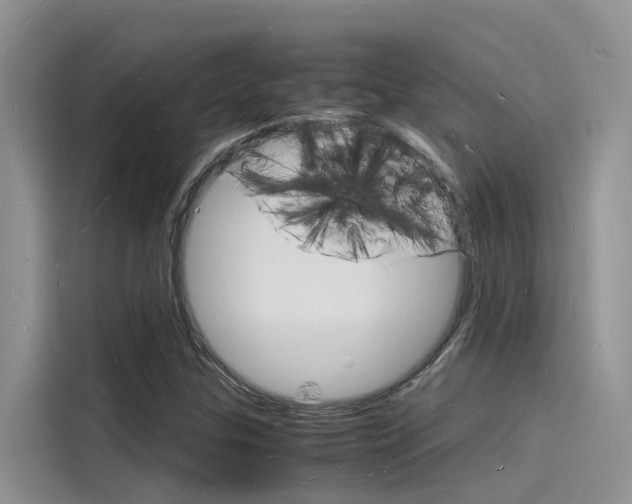 X0000115841307200911131058