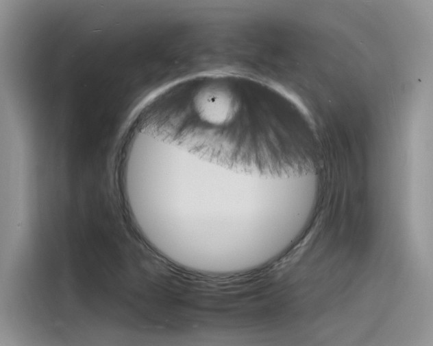 X0000115841311200911131058