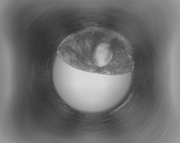 X0000115841313200911131058