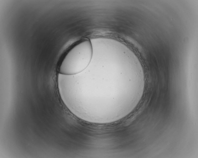 X0000115841314200911131058