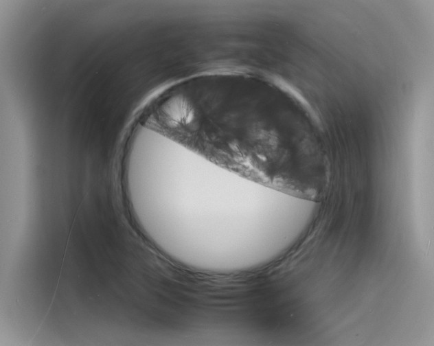 X0000115841315200911131058