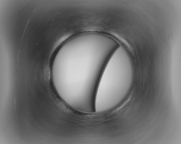 X0000115841317200911131058