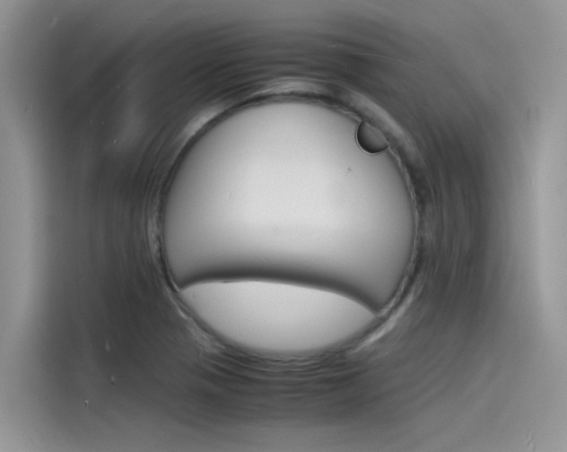 X0000115841321200911131058