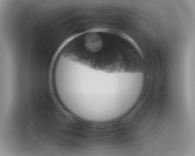 X0000115841323200911131058