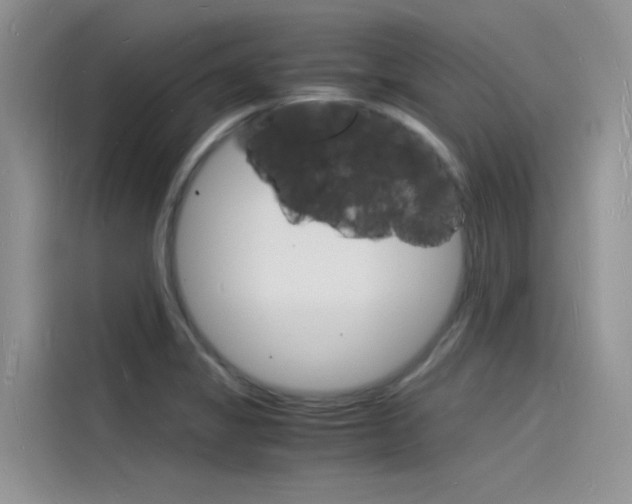 X0000115841325200911131058