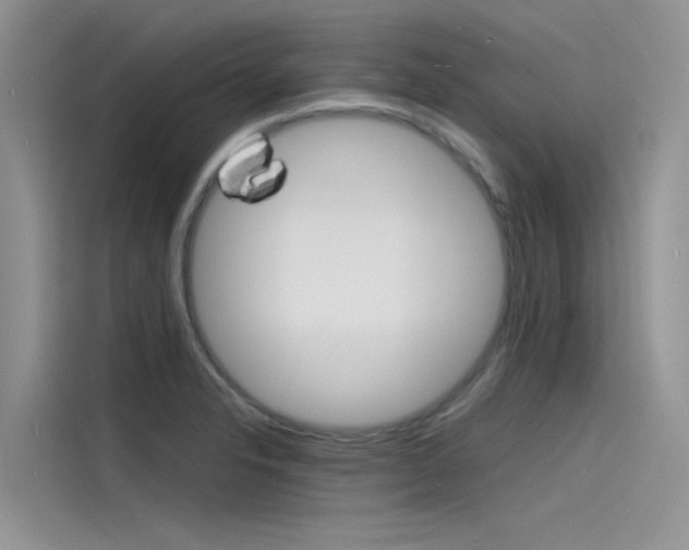 X0000115841326200911131058