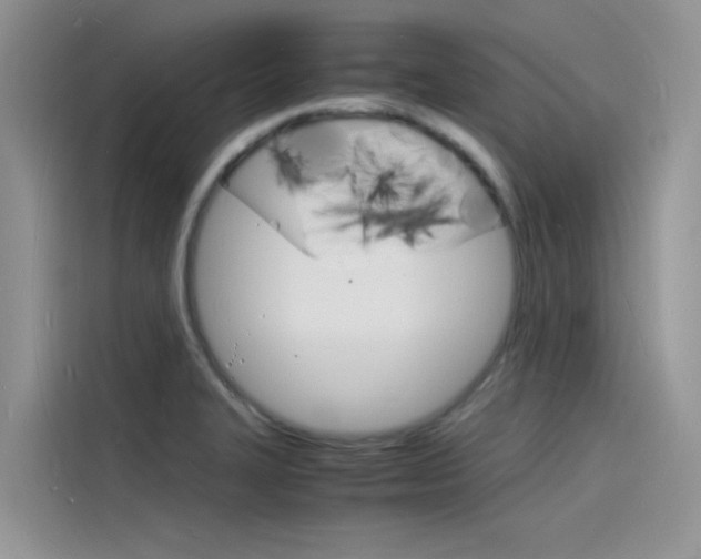 X0000115841327200911131058