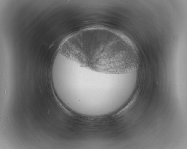 X0000115841329200911131058