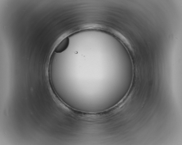 X0000115841330200911131058